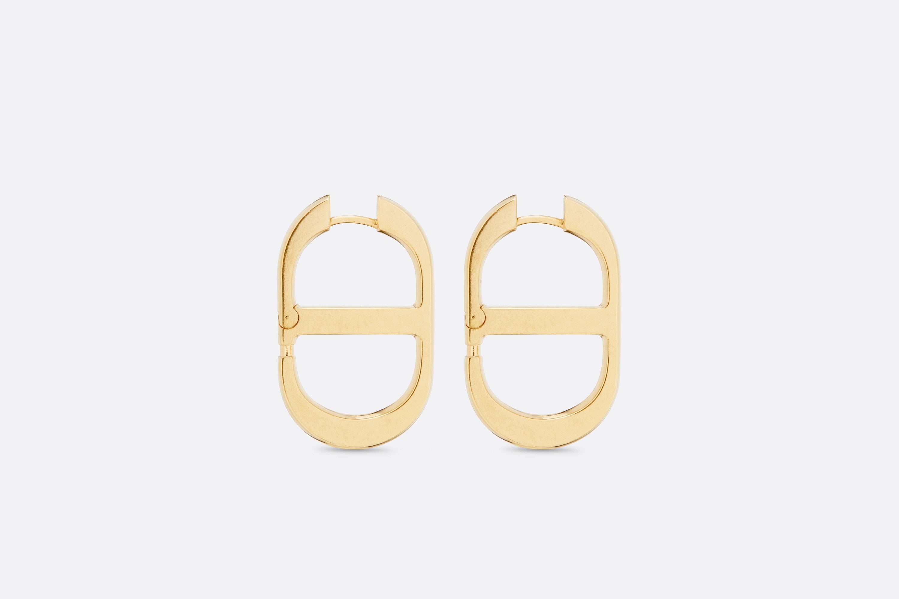 18K Dior 30 Montaigne Rani Pink Earrings